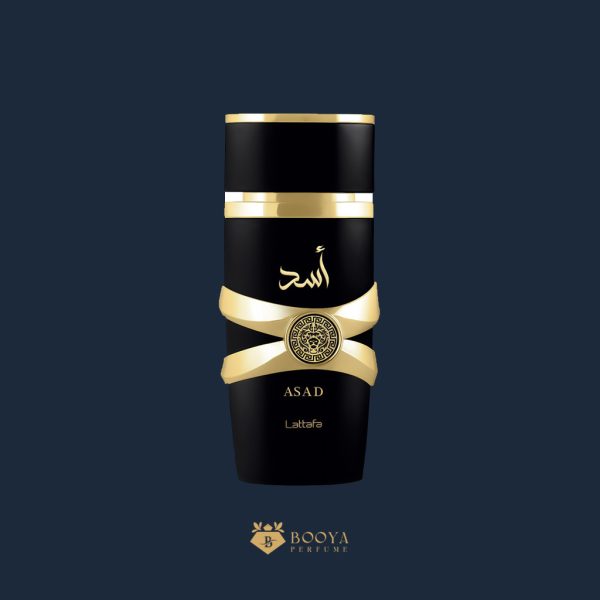 لطافه اسد