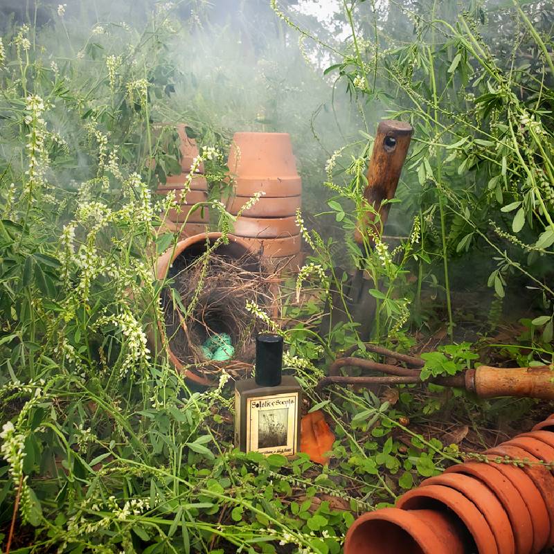 عطر با رایحه‌های چوبی