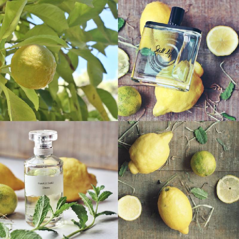 دنیای شاداب و پرانرژی عطرهای مرکباتی