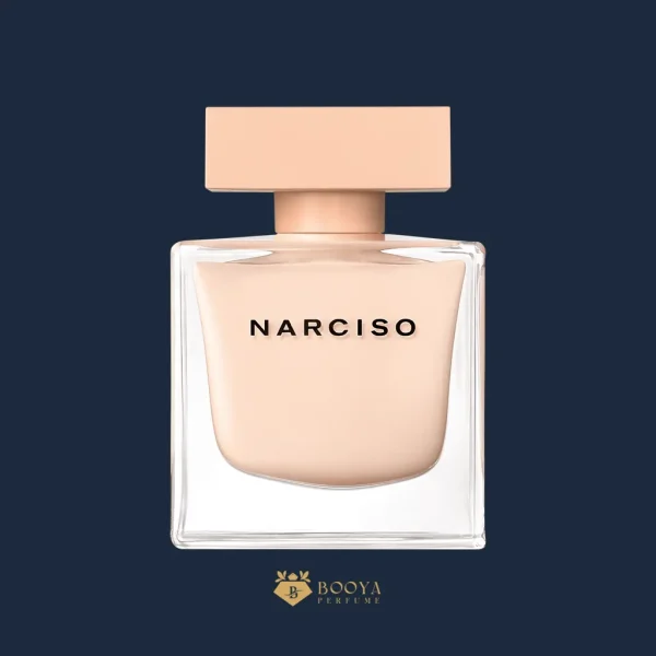 نارسیس رودریگز پودری